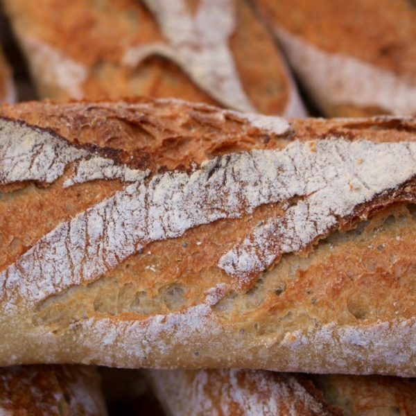 Whole Wheat Sourdough Bread