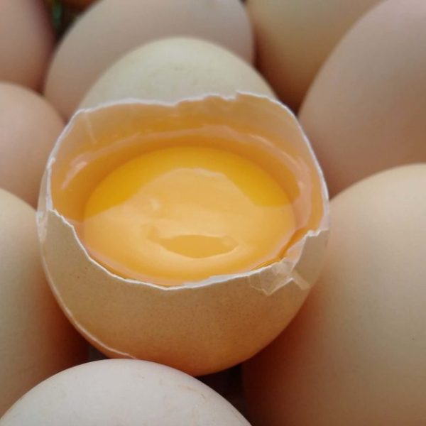 Natural Bloom Eggs From Pastured Hens